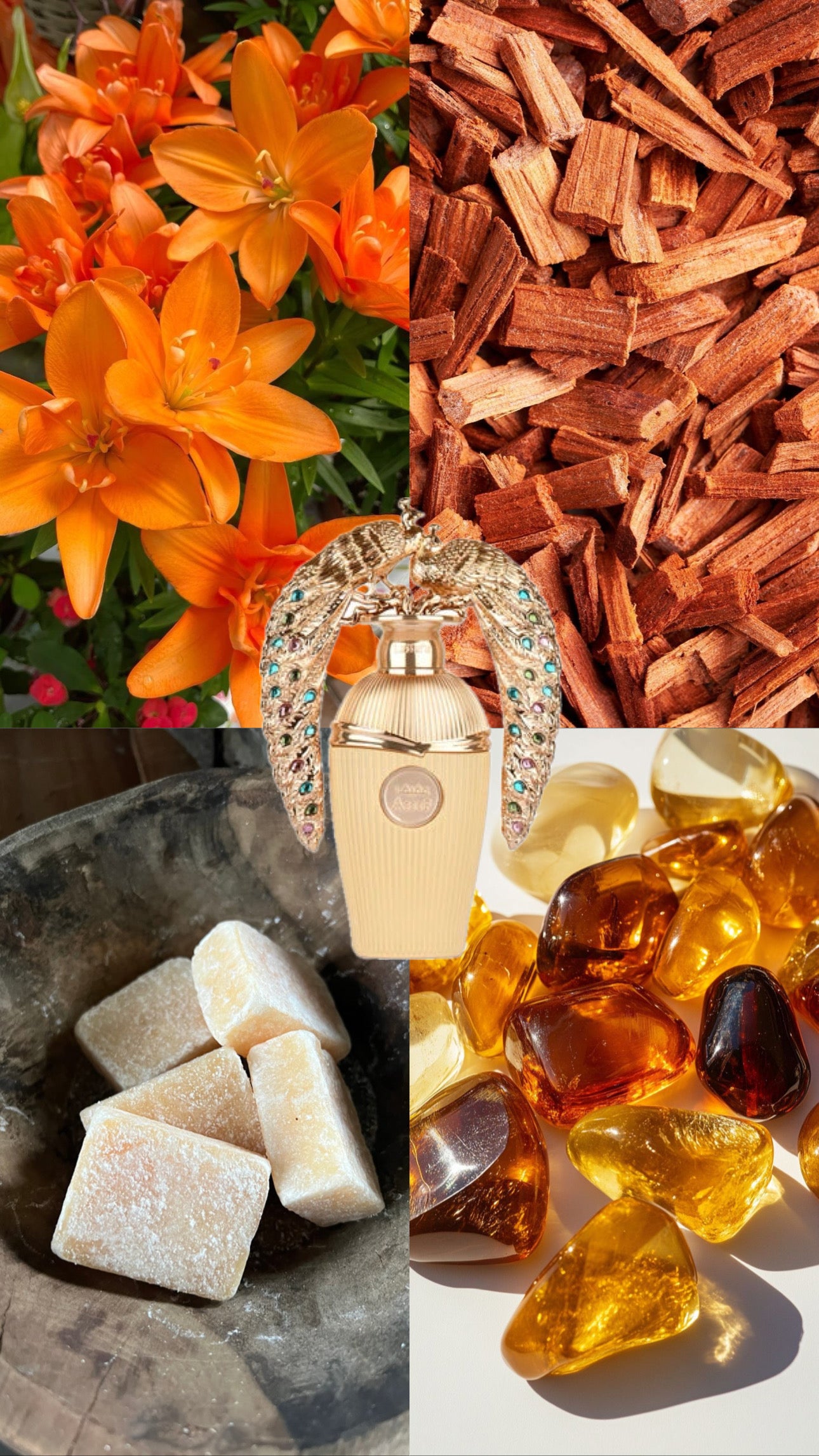 Afeef | Lattafa | 100ml EDP | Unisex