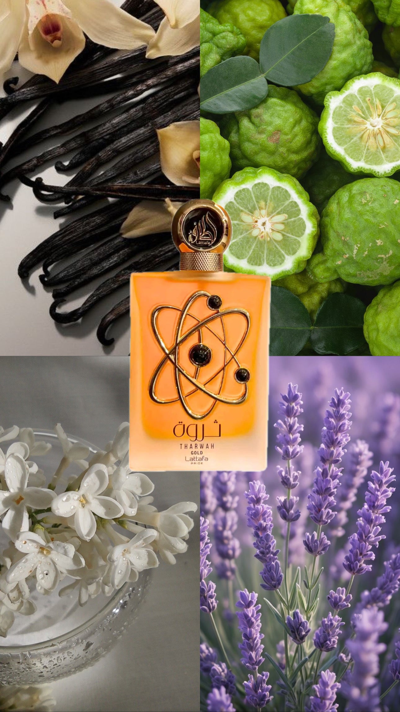 Tharwah Gold | Lattafa | 100ml EDP | For Her