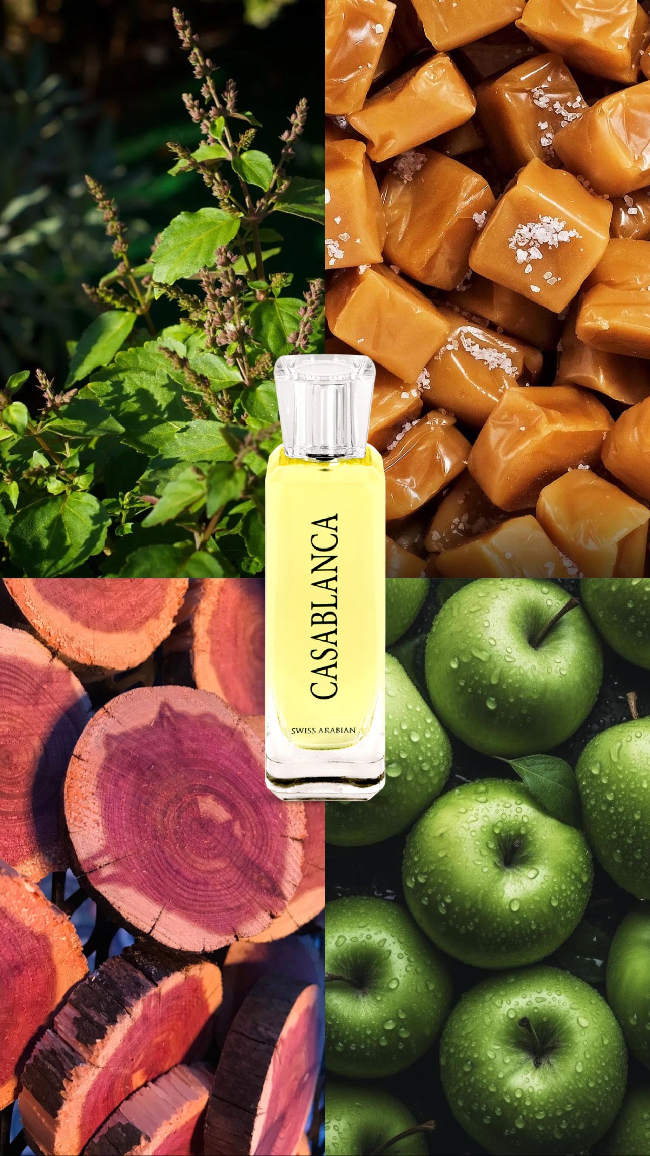 Casablanca | Swiss Arabian | 100ml EDP | Unisex