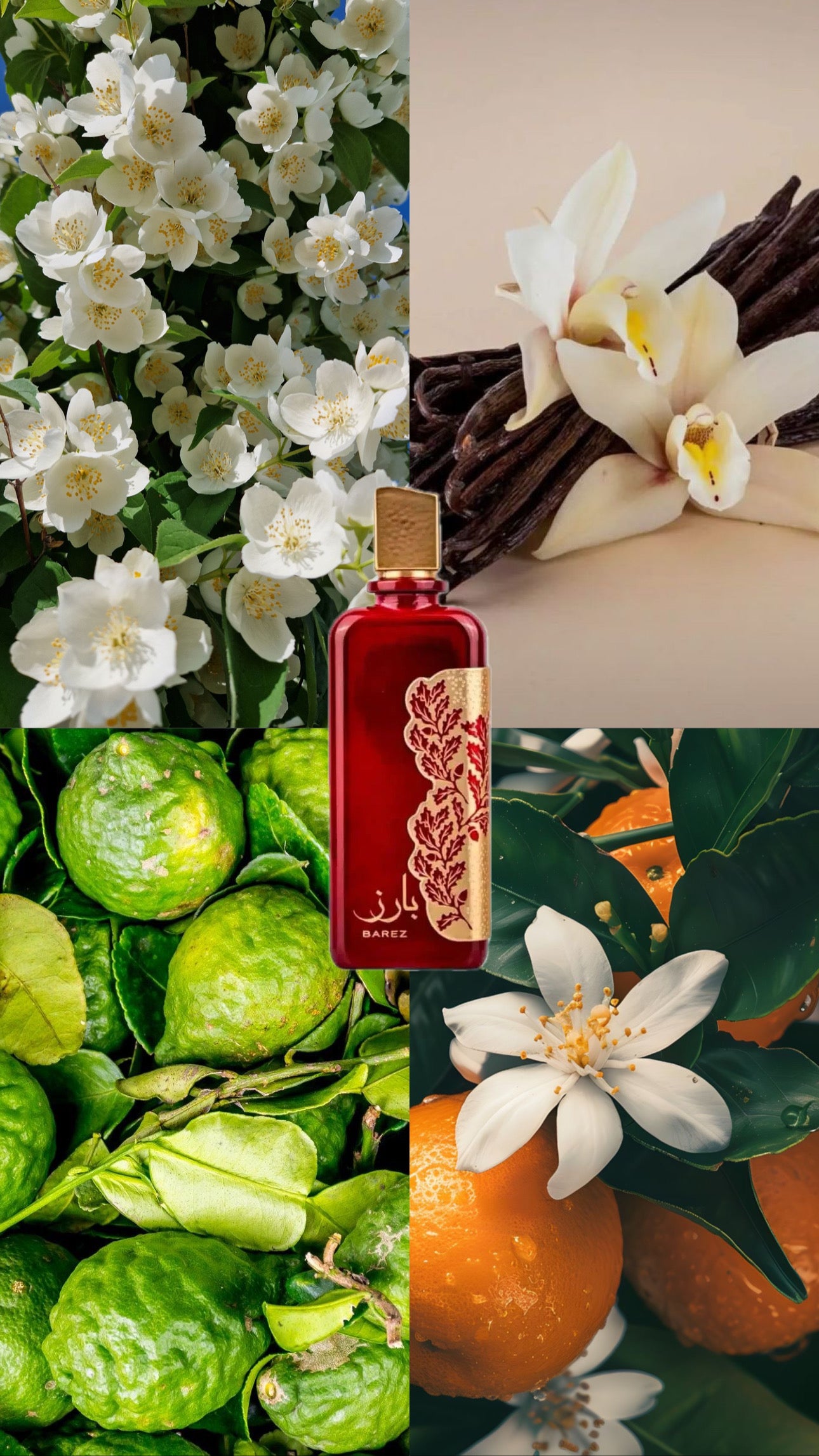 Barez | Ard Al Zaafaran | 100ml EDP | For Her