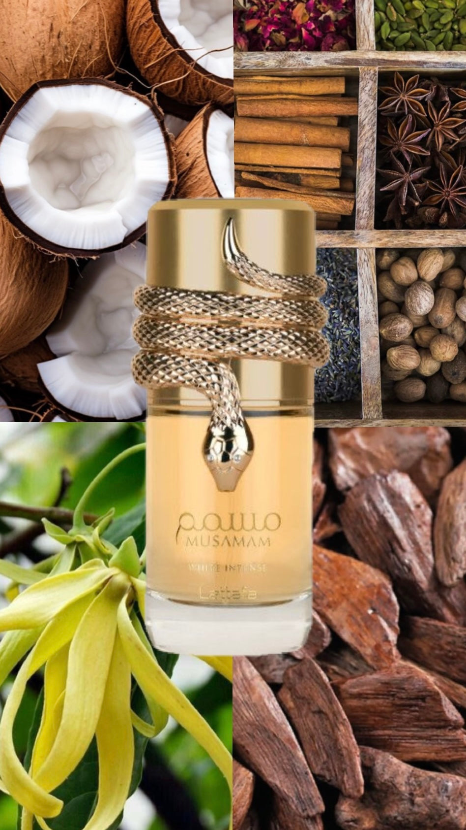 Musamam White Intense | Lattafa | 100ml EDP | For Her