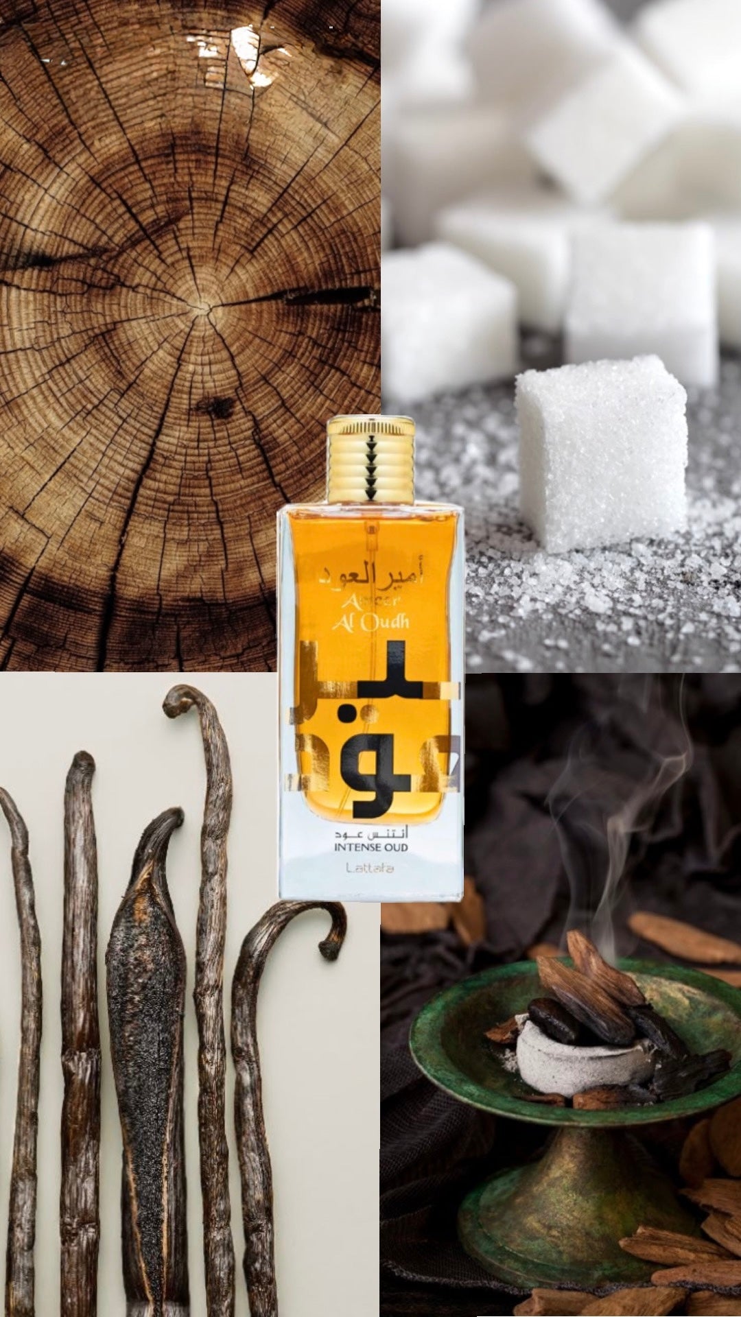 Ameer Al Oud Intense Oud | Lattafa | 100ml EDP | Unisex