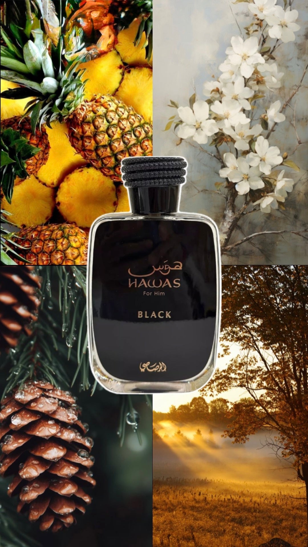 Hawas Black | Rasasi | 100ml EDP | For Him
