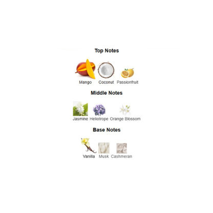 Yara Tous by Lattafa