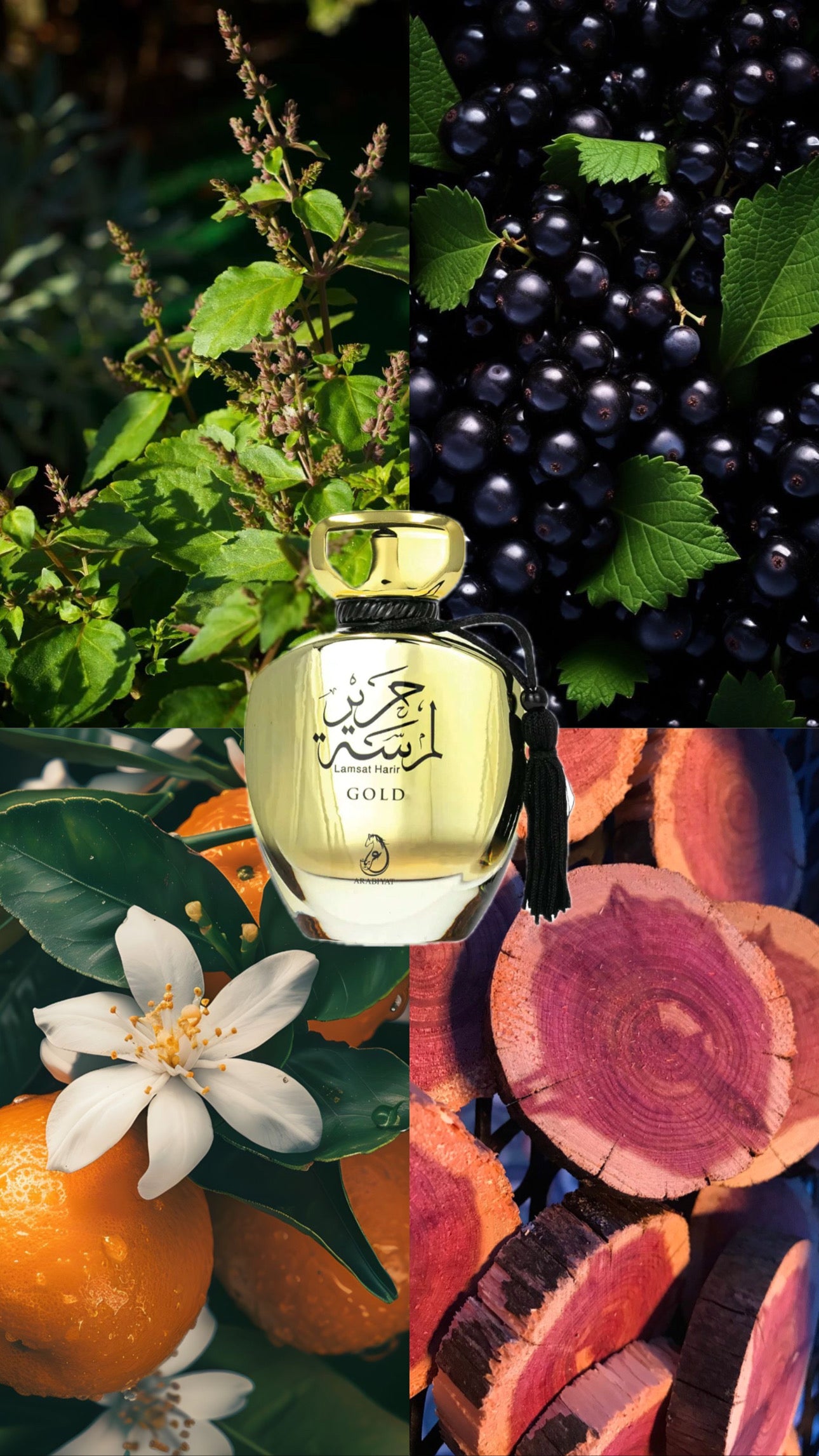 Lamsat Harir Gold | Arabiyat | 100ml EDP | For Her