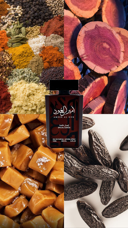 Special Edition | Ameer Al Oud | 100ml EDP | For Him