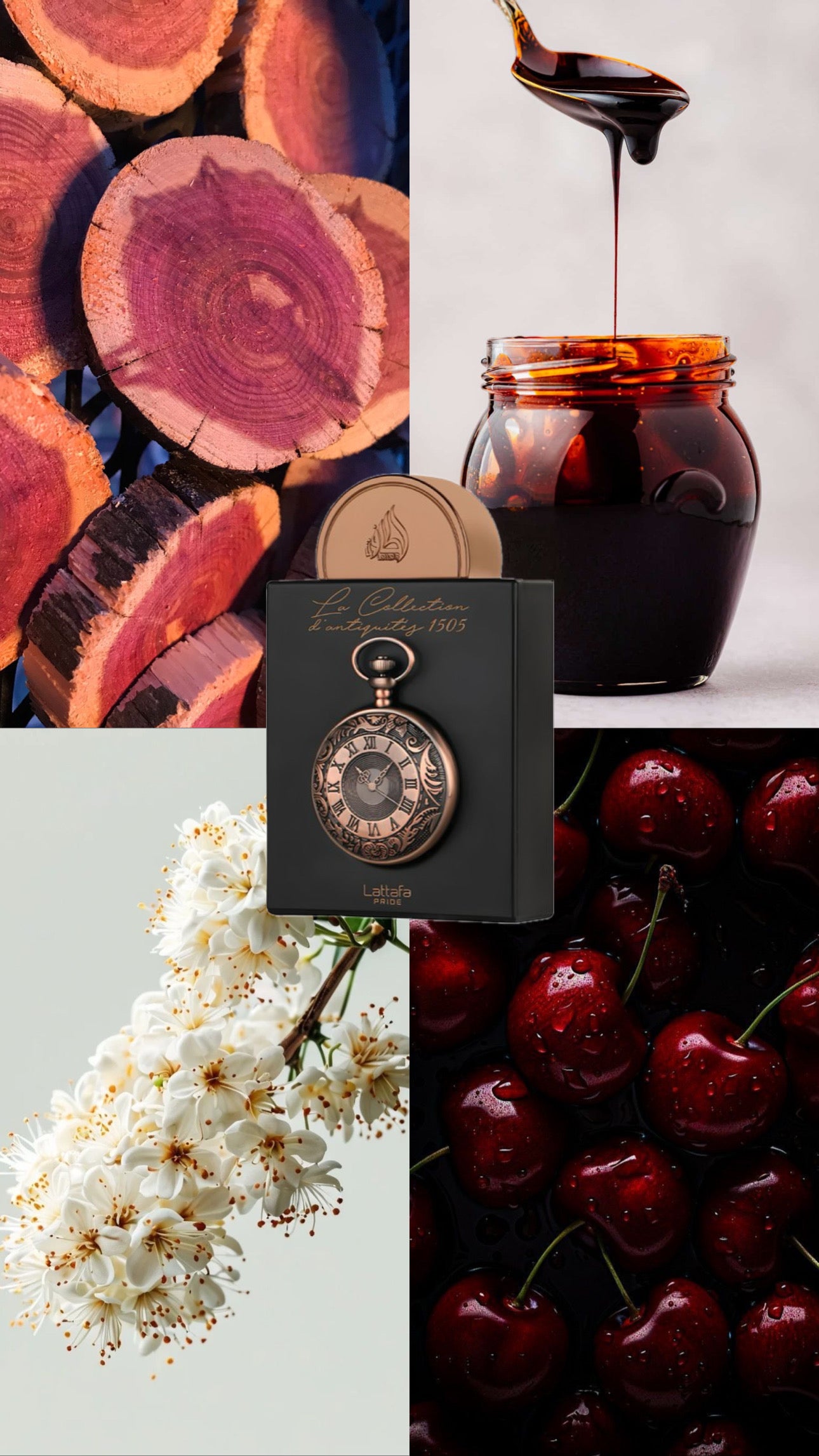 La Collection D'antiquités 1505 | Lattafa Pride | 100ml EDP | Unisex