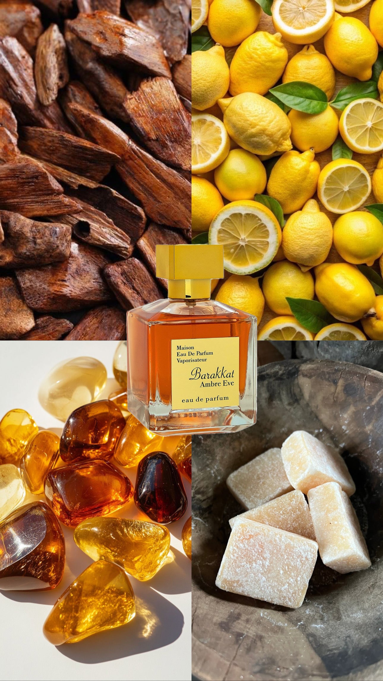 Maison Barakkat Ambre Eve | Fragrance World | 100ml EDP | For Her