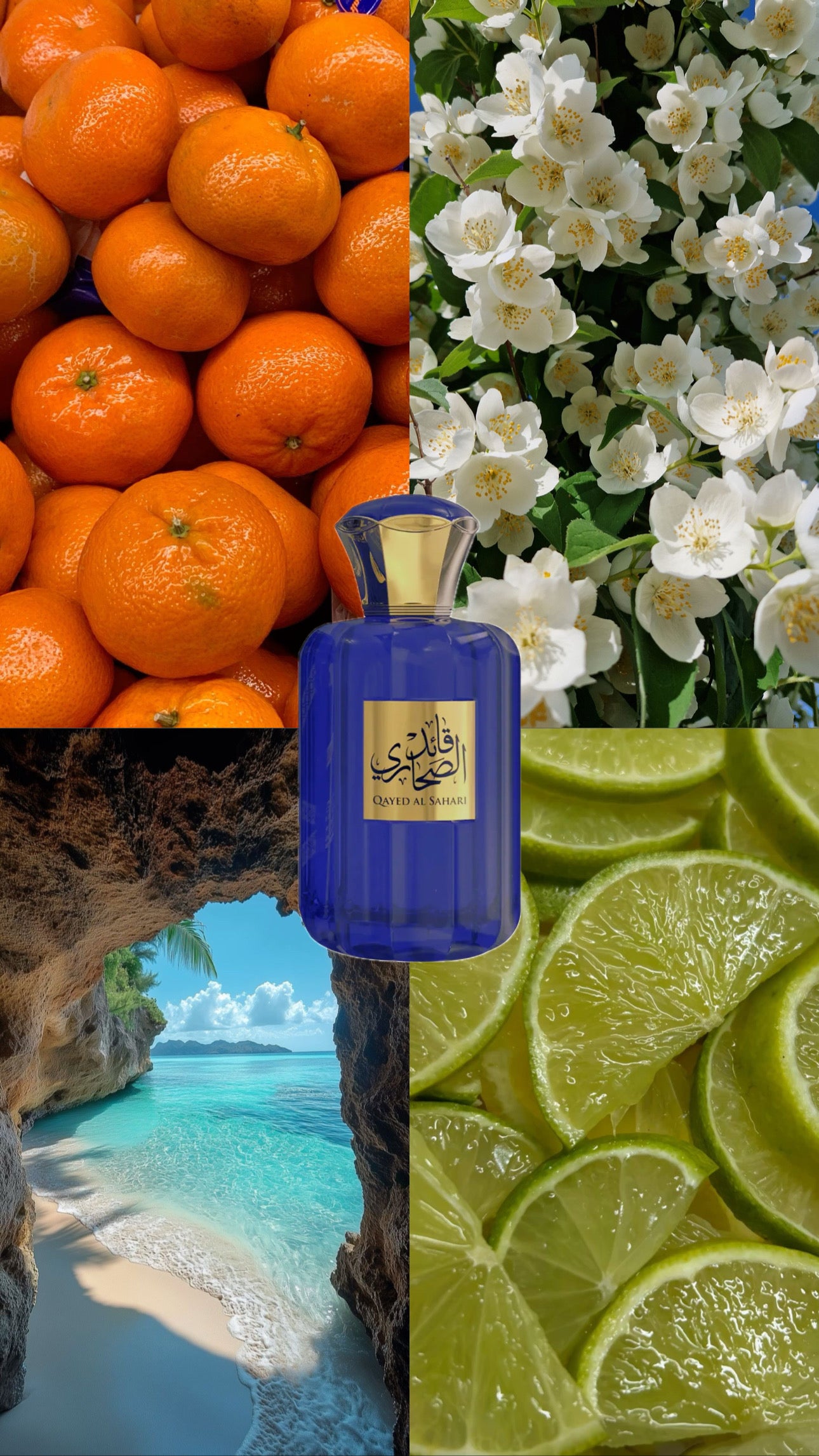 Qayed Al Sahari | Sahari | 100ml EDP | For Him