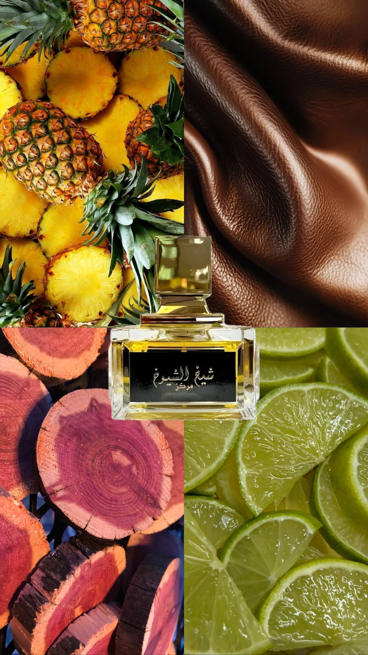 Cheikh Al Shuyukh Marakaz | Lattafa | 100ml EDP | Pour lui