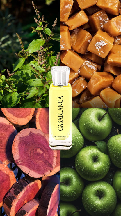 Casablanca | Swiss Arabian | 100ml EDP | Unisex