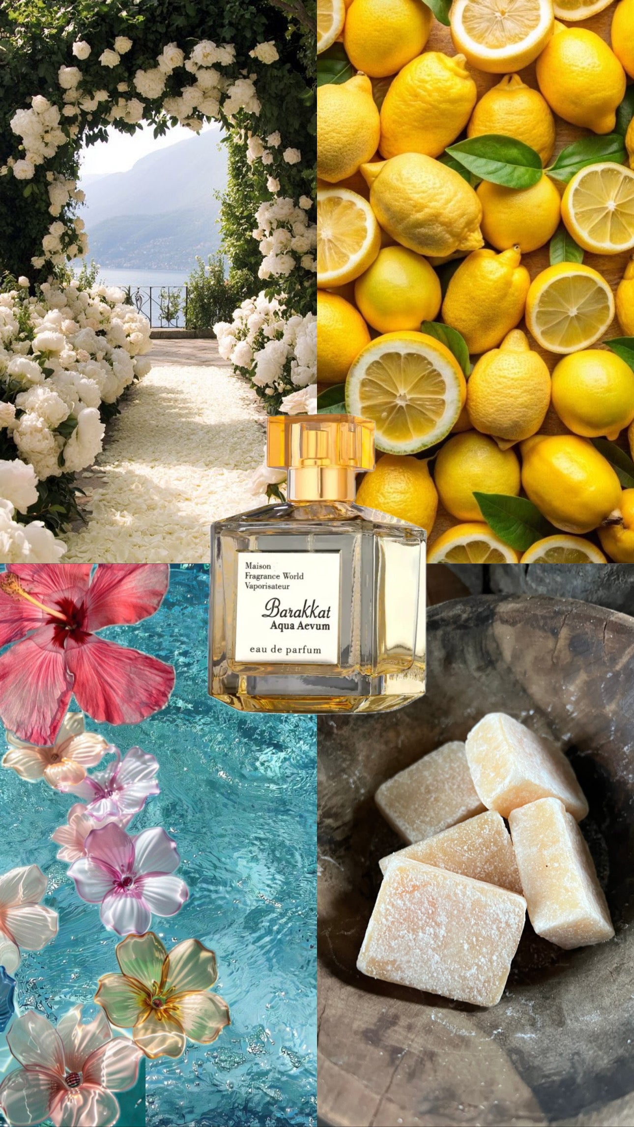 Maison Barakkat Aqua Aevum | Fragrance World | 100ml | For Her