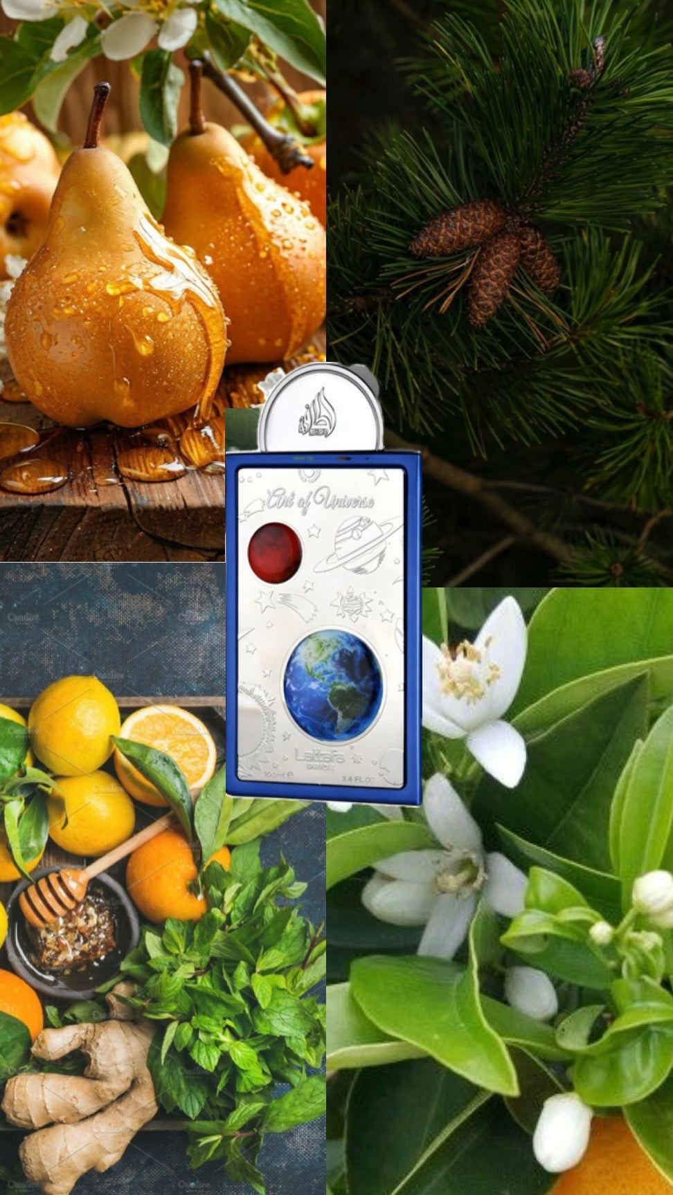 Art Of Universe | Lattafa Pride | Eau de Parfum 100 ml | Unisexe