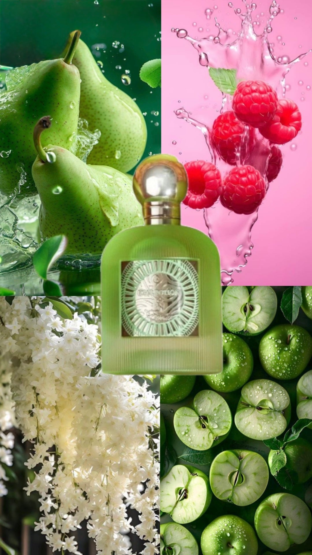 Pear Potion | Paris Corner | 100ml EDP | For Her