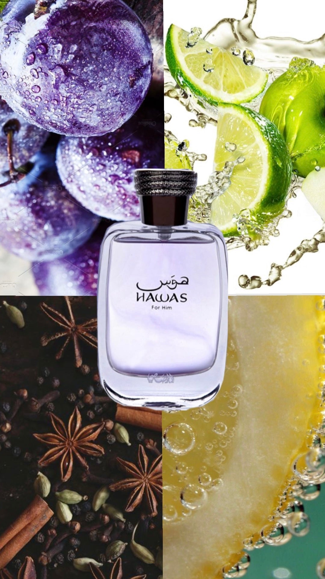 Hawas For Him | Rasasi | 100ml EDP | For Him