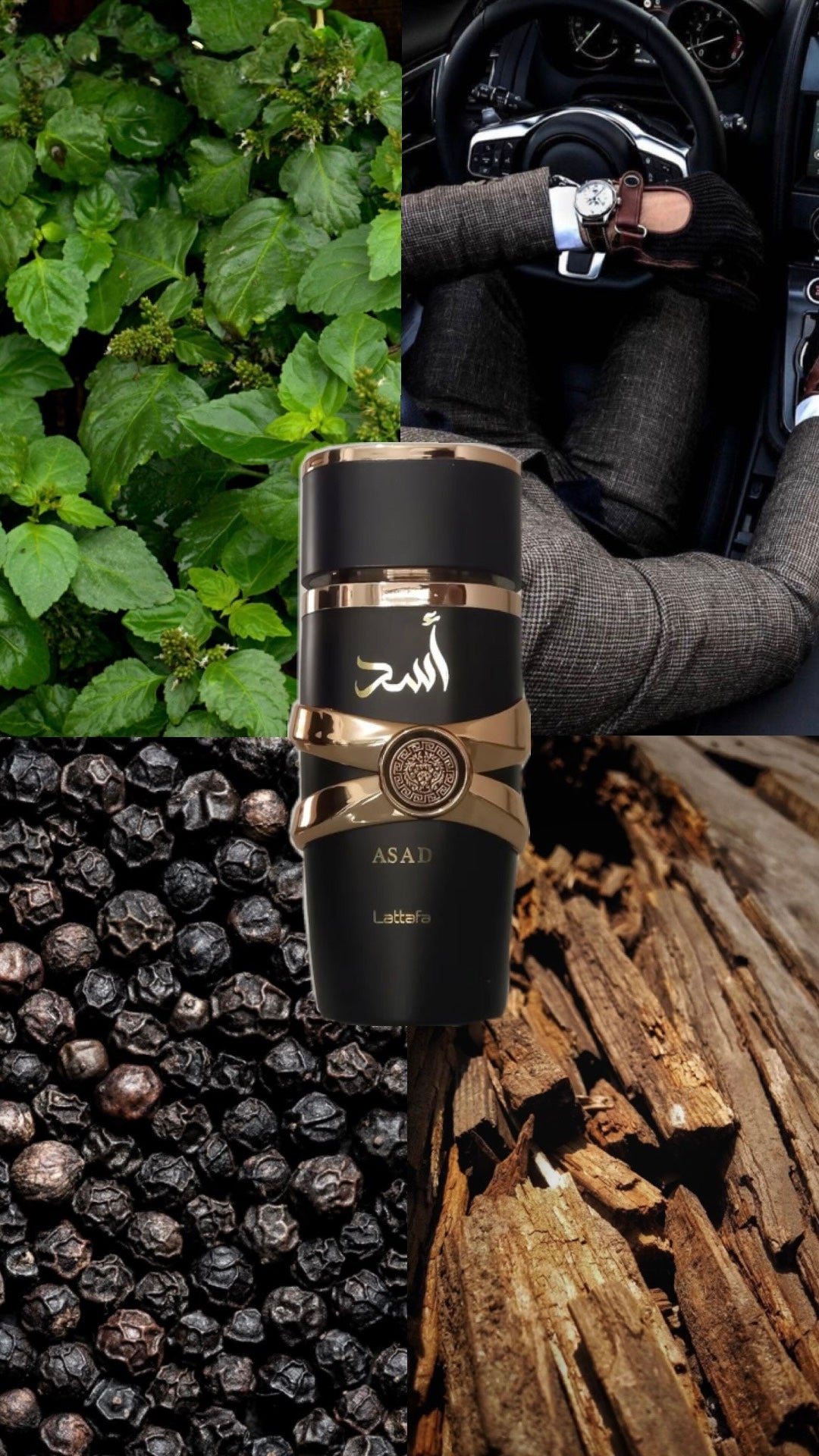 Asad | Lattafa | 100ml EDP | For Him